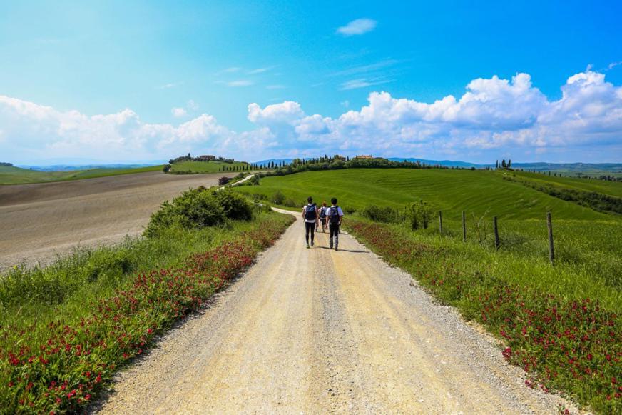 Podere Il Granaio - Crete Senesi - Tuscany Siena Exterior foto