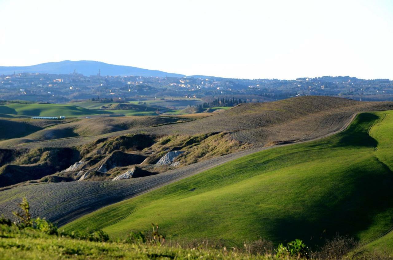 Podere Il Granaio - Crete Senesi - Tuscany Siena Exterior foto