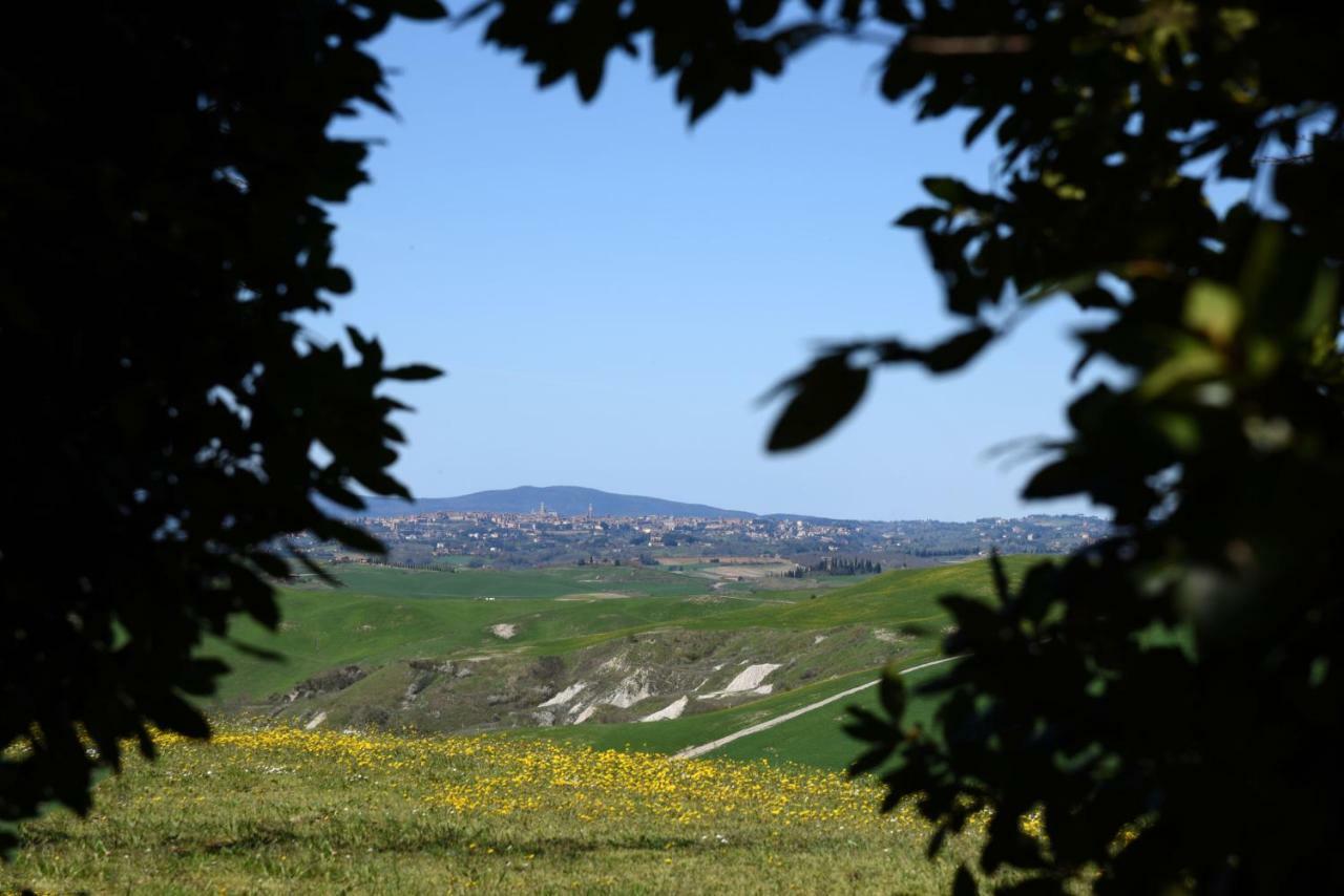 Podere Il Granaio - Crete Senesi - Tuscany Siena Exterior foto
